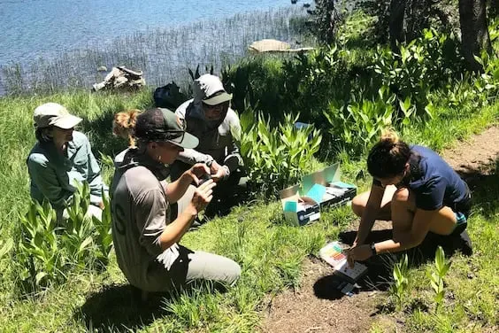 Environmental field testing with Biomeme platform
